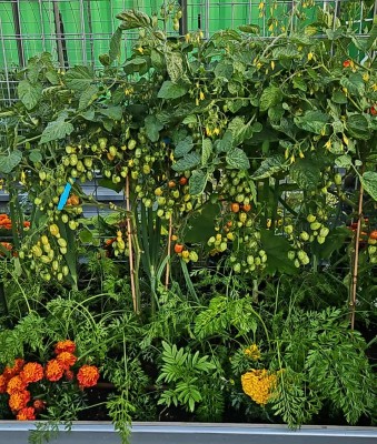Garden photo gallery icon for viewing images.