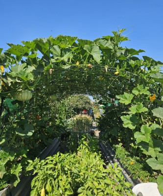 Garden photo gallery showcasing beautiful garden images.