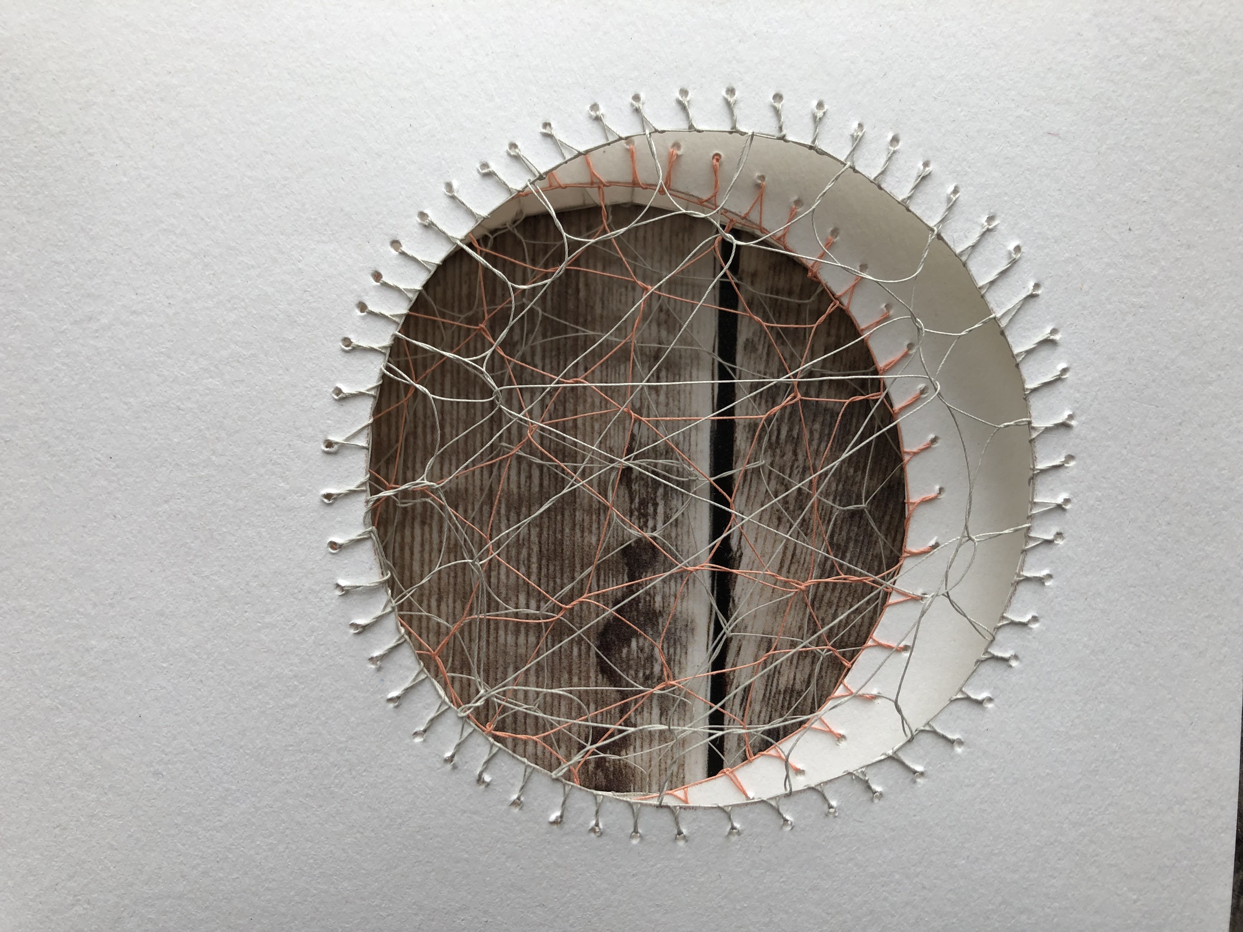 Stitched paper Hedebo