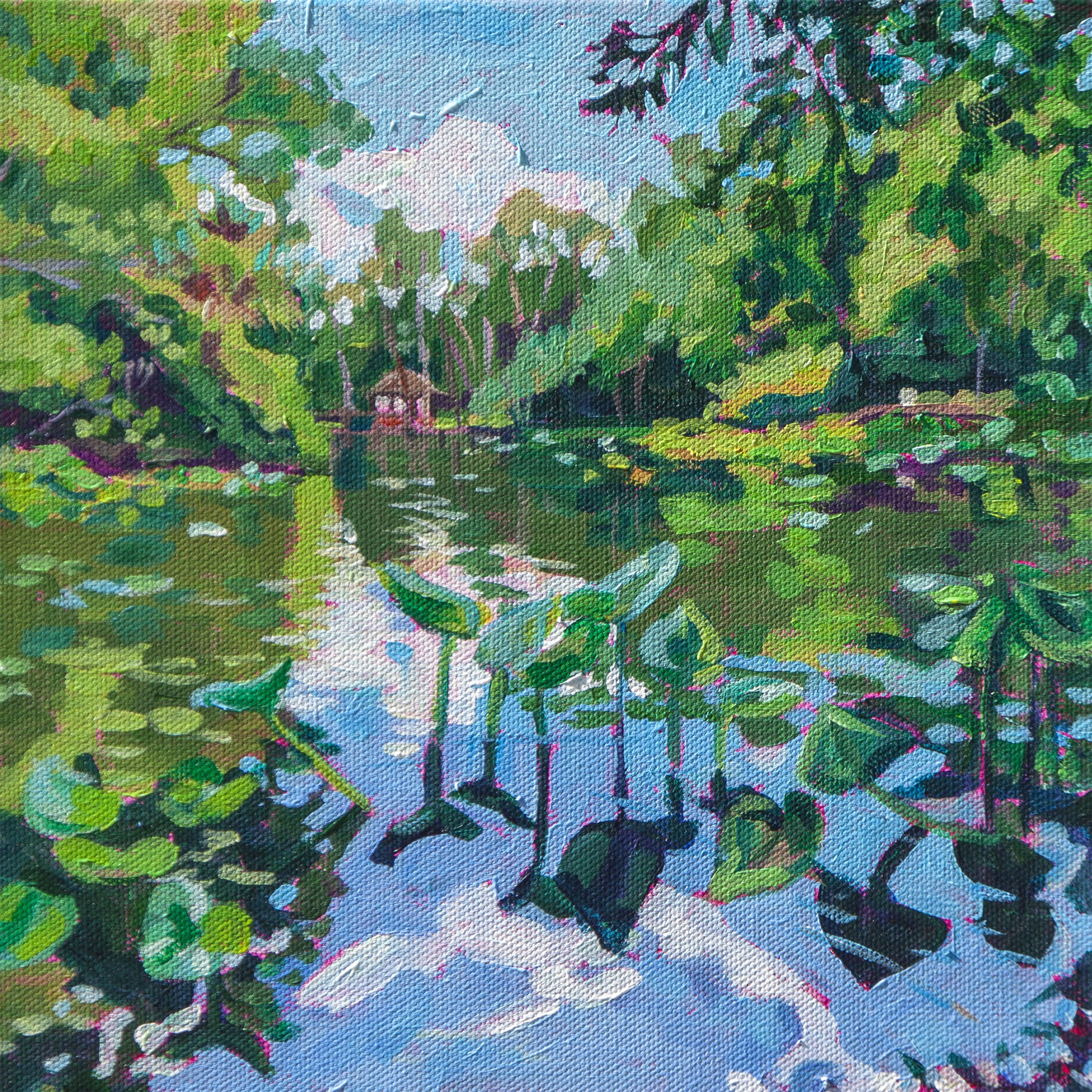 River with lily pads and reflections surrounded by green trees at Wekiva Island in Orlando
